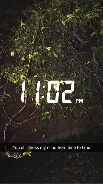 113