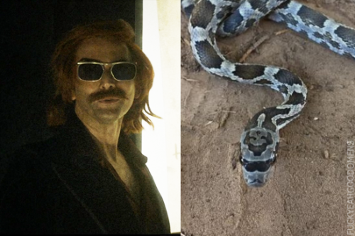 XXX fuckyeahgoodomens:The snek twins compilation photo