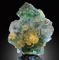 bijoux-et-mineraux:  Fluorite with Phantoms