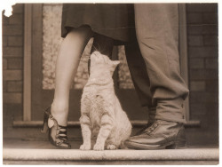 An Australian solider said goodbye to his wife before leaving, during World War II.