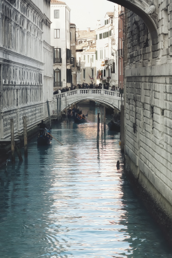 Reals:  Venice Canal | Photographer  