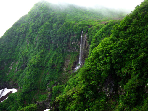 msp-j: 鳥海山　白糸の滝 Shira-ito-no-taki Falls, Chokaisan volcano, that appear during the snow-melting seas