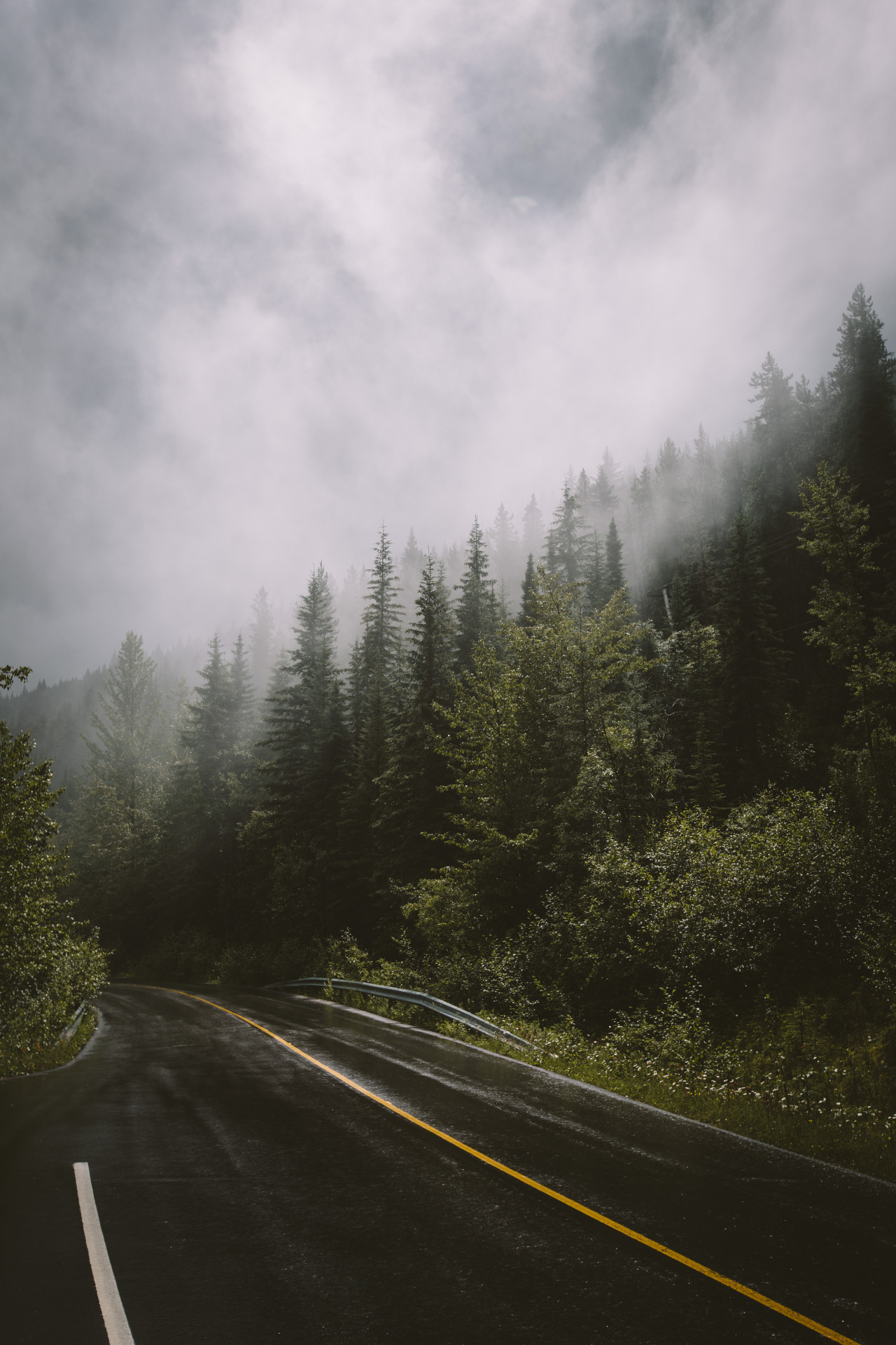 natura-e:  - Nature blog ^^  