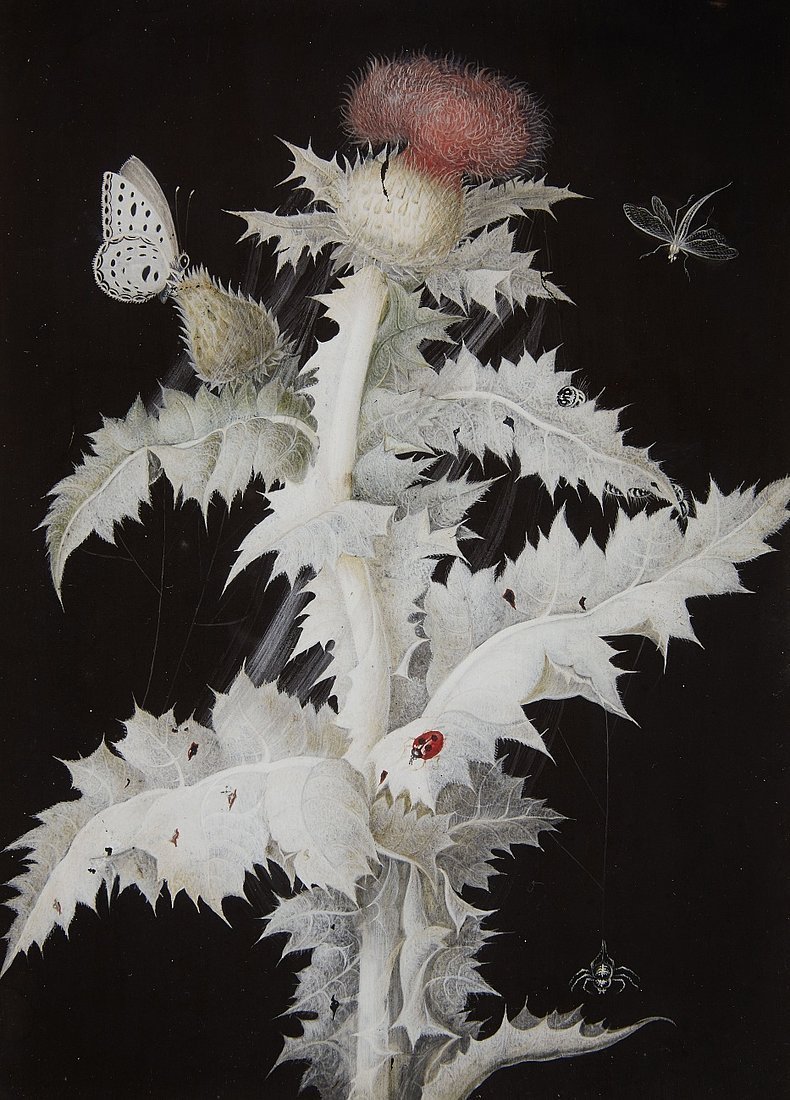 weepling:Barbara Regina Diezsch, A Thistle Branch with a Butterfly, Dragonfly, Ladybird