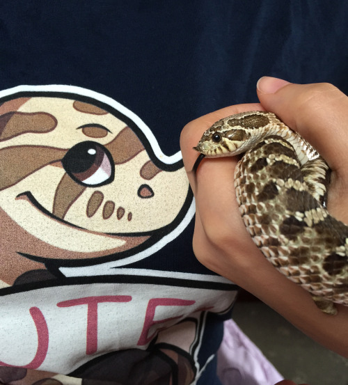 Pretzel wasn’t sure what to make of his T-shirt likeness to begin with, but he came around in 