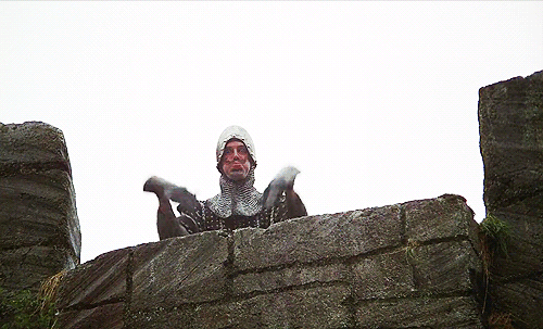 thorinwillbebilboswife:  Monty Python’s Gif  ENJOY 