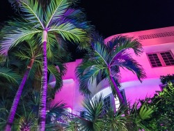 sleazeburger:Vice City