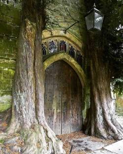 grouchxr:  hyperboreanesoterica:Ancient yew trees either side of the North porch of the 1000 year old St. Edward’s church, Stow-on-the-Wold, England.  Medieval “stargate&quot;😇