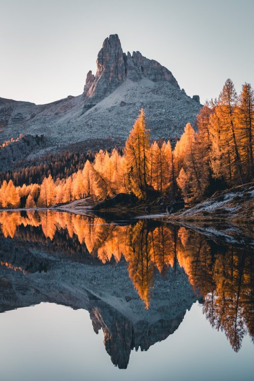 j-k-i-ng:  “A Sea of Larches” by | Florian GriegerDolomites, Italy UNESCO