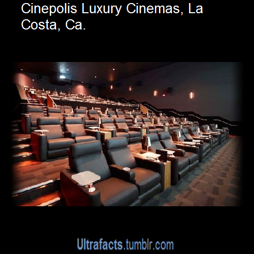 whitewhoreneedsmoreblackcocks:  ultrafacts:  Coolest movie theaters from around the world. Want more posts like this? Follow Ultrafacts!  Now on my “bucket list” to visit each theater and enjoy a movie night there. 