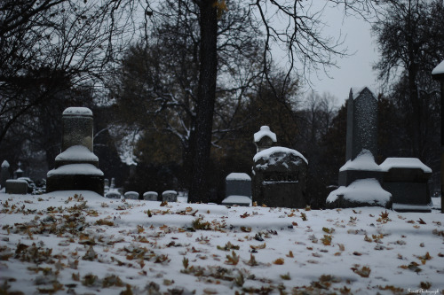 garettphotography:Graceland Cemetery | GarettPhotography