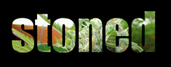 Herbal Joy