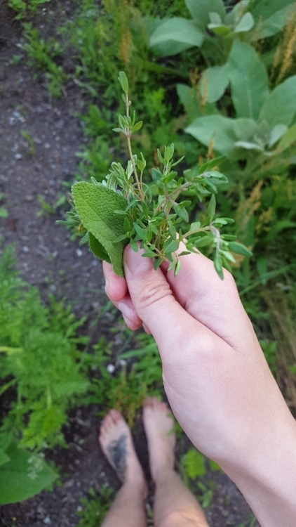 greensarah:Being naked in the garden is one of the most spiritually awakening experiences one can ha