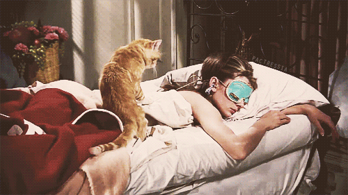 ainacm: I’ll never get used to anything. Anybody that does, they might as well be dead. -  Holly Gol