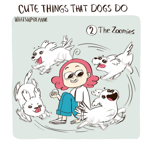 whatsupbeanie:The zoomies make an appearance again because honestly- it’s one of my favourite 