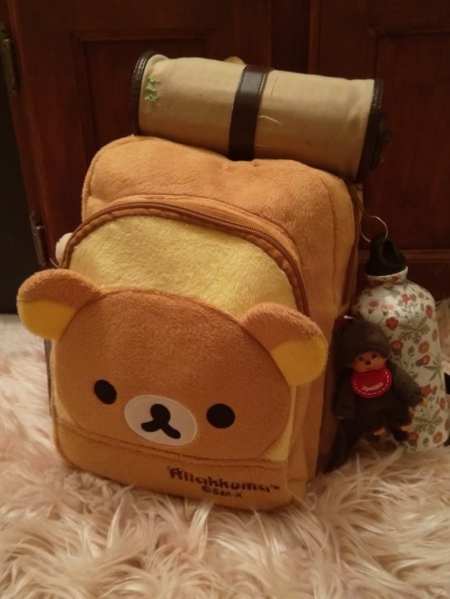 porridgeguts: my travel rucksack… Is ready for my adventure….