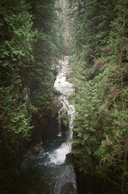 vhord:  zoe-rh:  lastinq:  //nature//  welcome to earth  strictly nature