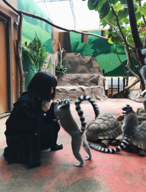 monowasure:  吉田凜音(@rinne1211)さん | Twitter