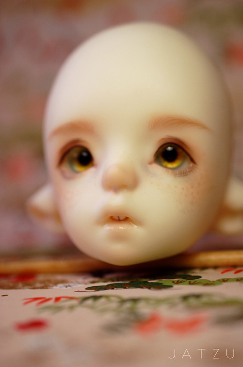 Flower & Junior Yabi~ I absolutely love this sculpt =3 When I don’t have so many unfinished BJD 