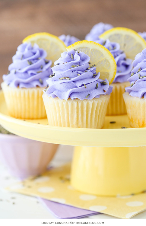 sexy-desserts: Lemon Lavender Cupcakes