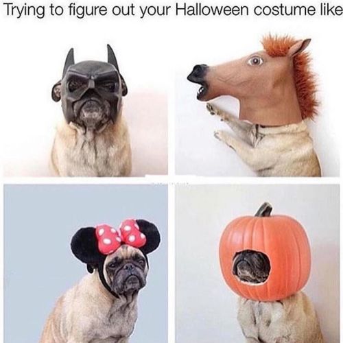 kidslutti-:  qntnxx:  @kidslutti- you  LMFAO THIS IS ME EVERY YEAR