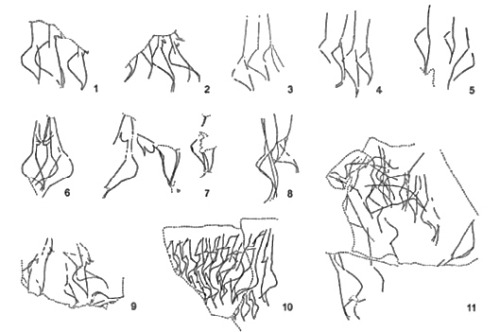 theolduvaigorge: Contextualising the female image - symbols for common ideas and communal identity i