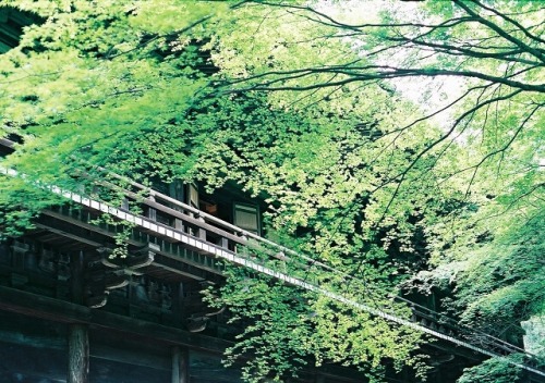 書寫山 圓教寺