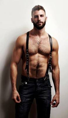 A Hairy Chest With Suspenders On Nipples