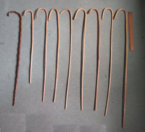 firmbutfairmatureman: A selection of the crook handles school type canes that I have - the foot long