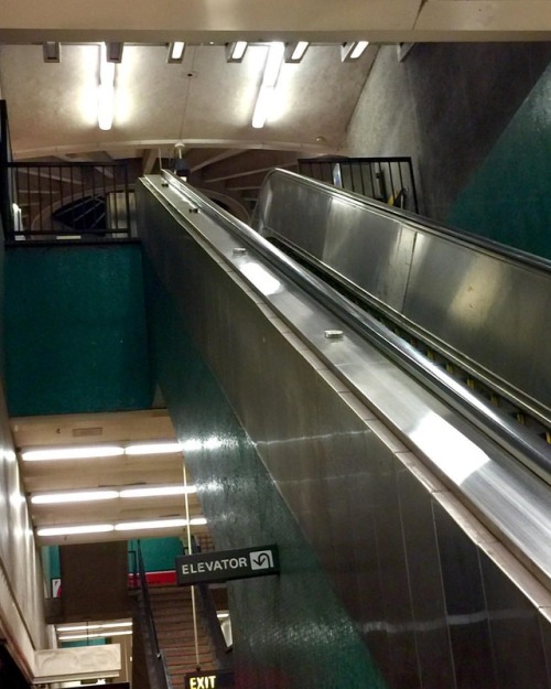 Its A Late Night For Me #bart #berkeley #sakeandscience #northberkeley #takarasake #takarabio #nightout