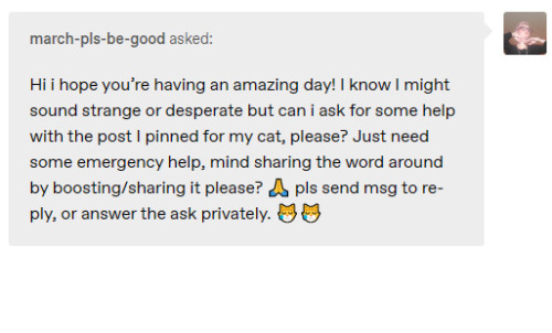Red Flags: How To Identify A Tumblr Scam (Pet Edition)