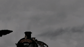fallstopieces:But you know, happiness can be found even in the darkest of times, if one only remembe