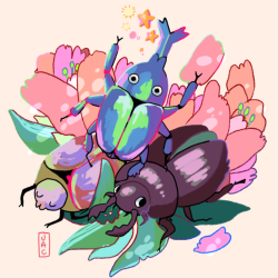 peach-herald: Beetles!!!