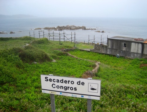 Secadero de Congros (Conger Eel Drying Racks), Santa María de Muxía, La Coruña, 2012.Dried seafood w