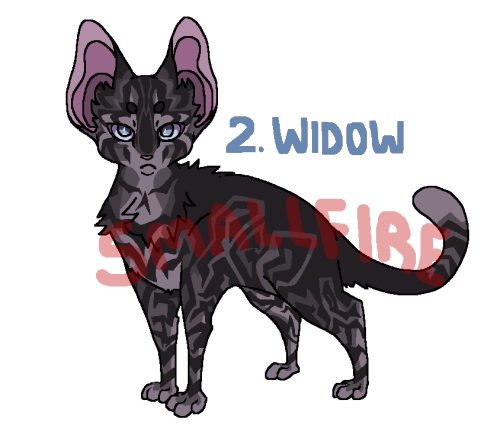 kitties &hellip; 3!!!!SUNFLOWER: $15 USD - SOLD!WIDOW: $15 USD - SOLD!VELVETEEN: $15 USD - SOLD!