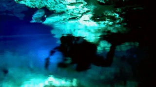 nearlynightfall:  sixpenceee:  theextranaturalist:  sixpenceee:  Now here’s something cool! What you see above is fresh an salt water mixing in a cave. Fresh water is on the top giving the illusion that it’s air. You can look through my bizarre world