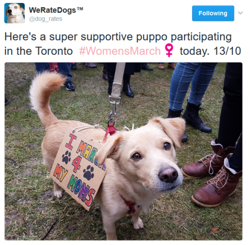 thisistheglamorous: I 100% DON’T GIVE A SHIT TOM