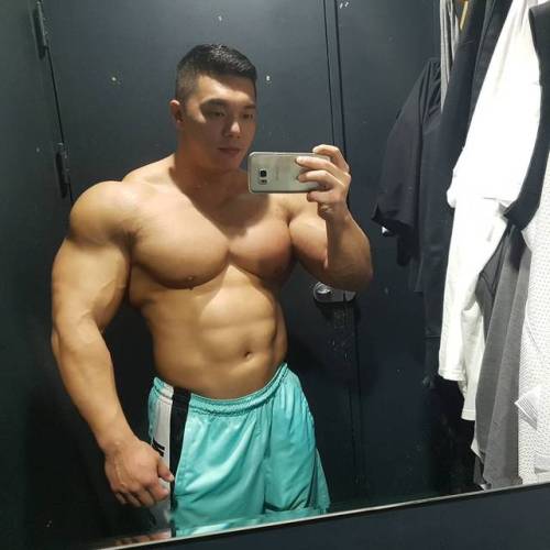 dragonXXL