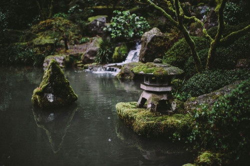 talltalememory:Portland Japanese Garden