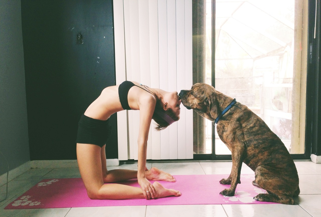 yoga-pilates-love:  earnthatsweat:  ughhhfuckkk:  My boyfriend gave Murphy and I