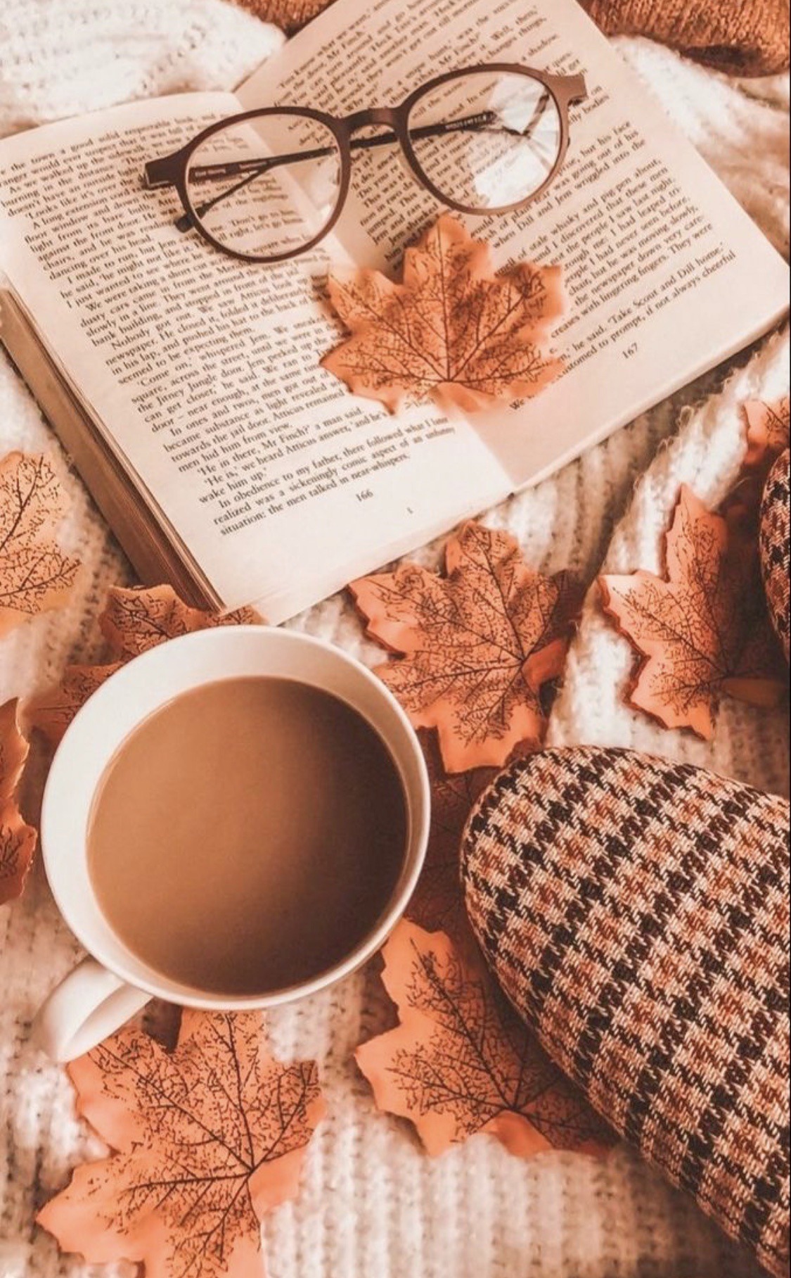 Cozy Fall Vibes