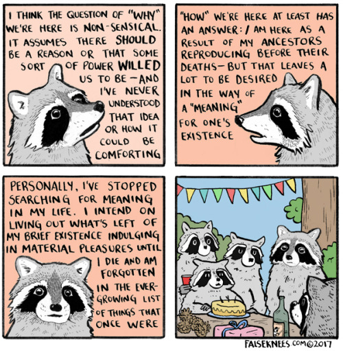 falseknees:  Racc of etiquette - Prints available