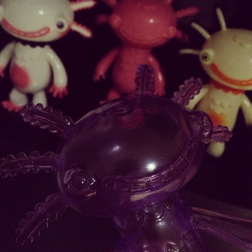 #wooper #wooperlooper new axolotl in town! @garyham #axolotl #sofubi