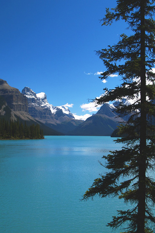 patagonianvoyager:  Blue Abounds by Matt Champlin 