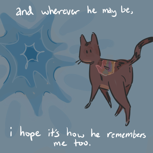 The Loss Of A Pet