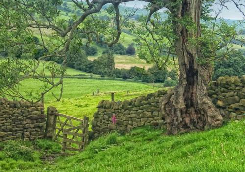 lovely-earth-pictures:  Nidderdale, Yorkshire Dales, England  Gorgeous! I’d love to live in a place like this