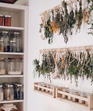 auguryandalchemy: Drying herbs and flowers may or may not be something of interest. Here are some ti