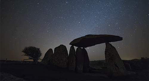 Dydd Gŵyl Dewi Hapus | Happy St David’s Day- (x) (x) (x) (x)