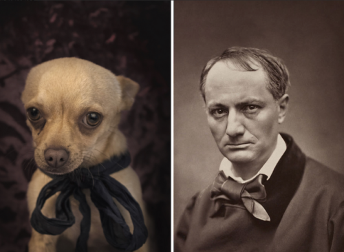 ipoenoticias: iclassicscollection:      Photographer Dan Bannino juxtaposes photographs of dogs that resemble famous writers. His project, which is called #POETICDOG, aims to draw attention to the needs of abandoned dogs in shelters, and to help raise