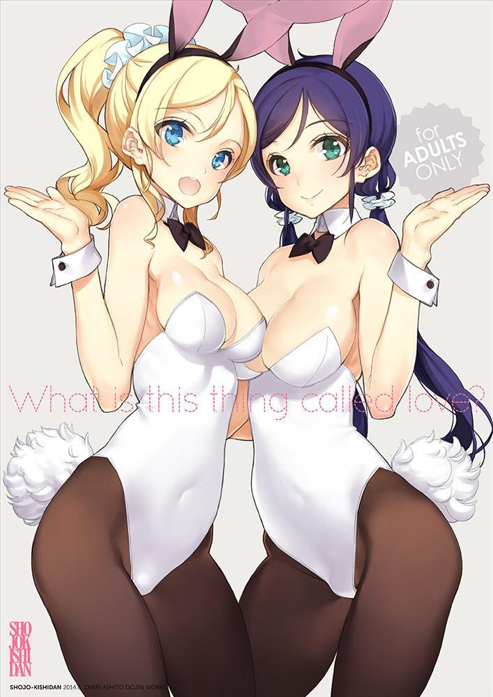 lovelive2013:  Twitter / oyari: ラブライブ本表紙もう一個~。 http://t.co/NPk